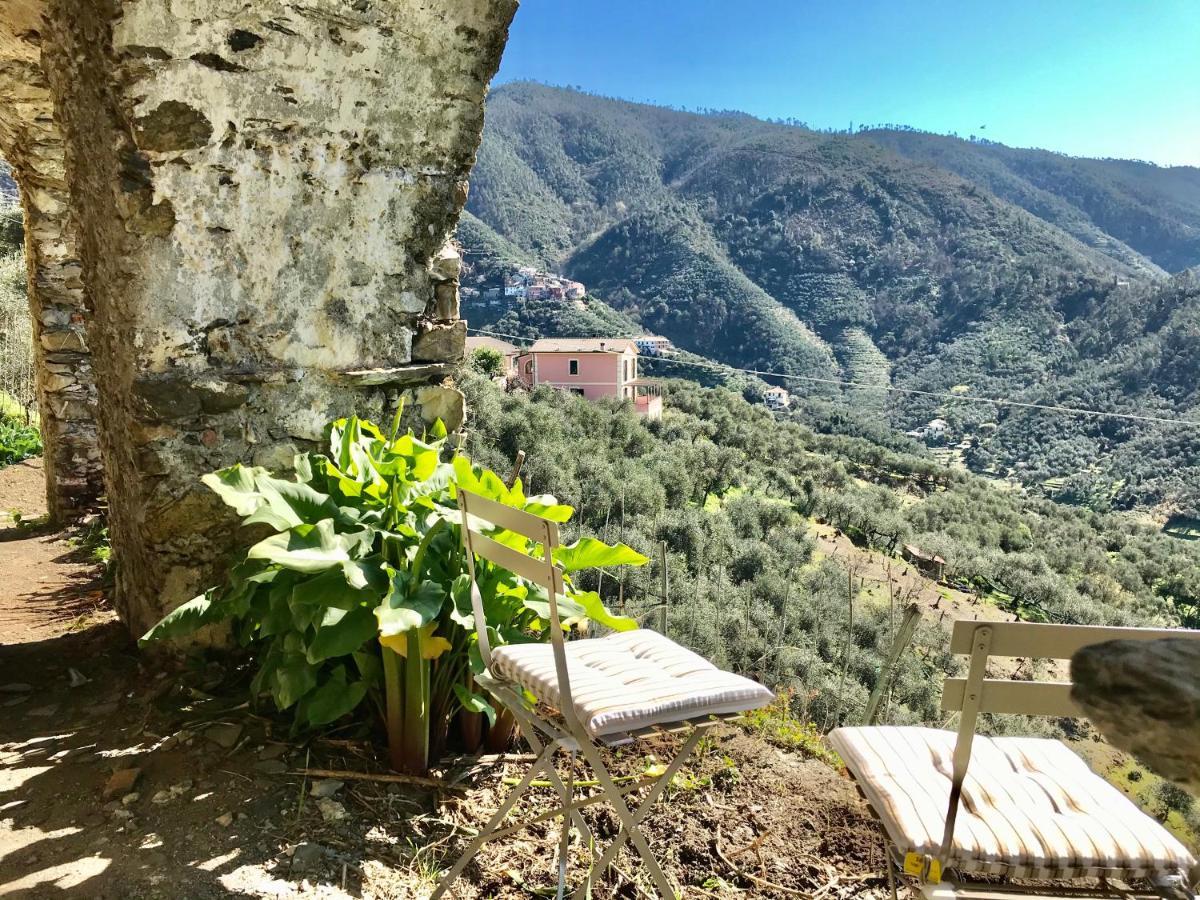 Agriturismo Sancristoforo Levanto Eksteriør billede